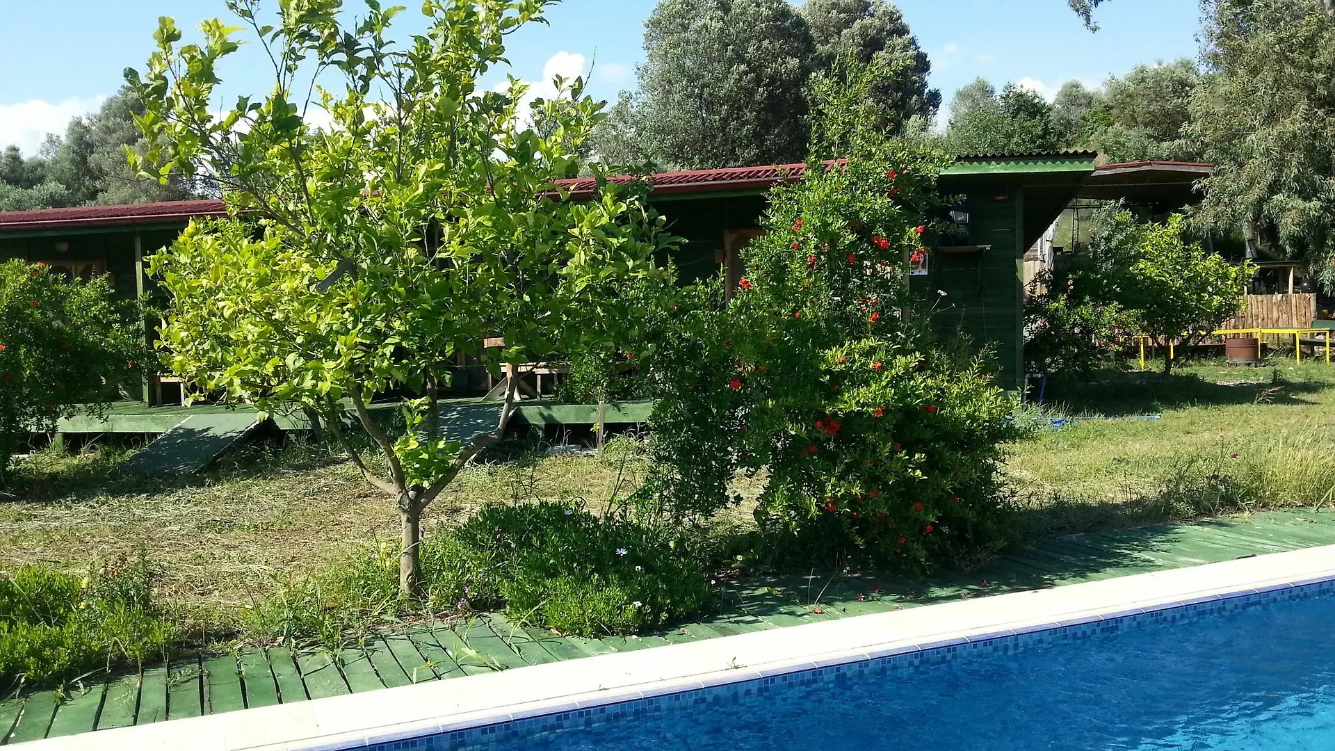 Sun Dalyan & Yeni Adet Organic Hotel
