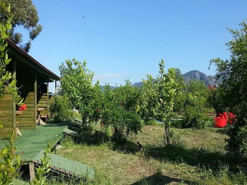 Sun Dalyan & Yeni Adet Organic Hotel 4*,