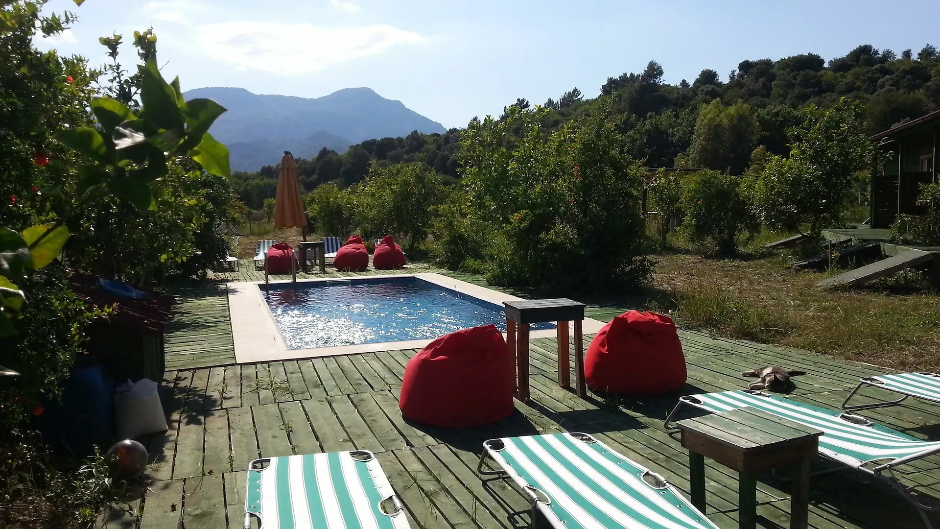 ****  Sun Dalyan & Yeni Adet Organic Hotel Turcja