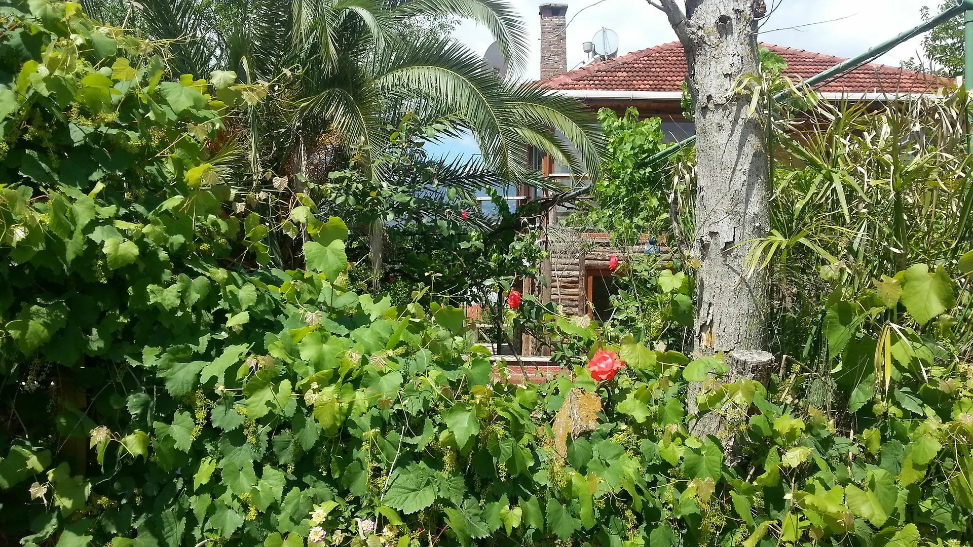 Sun Dalyan & Yeni Adet Organic Hotel