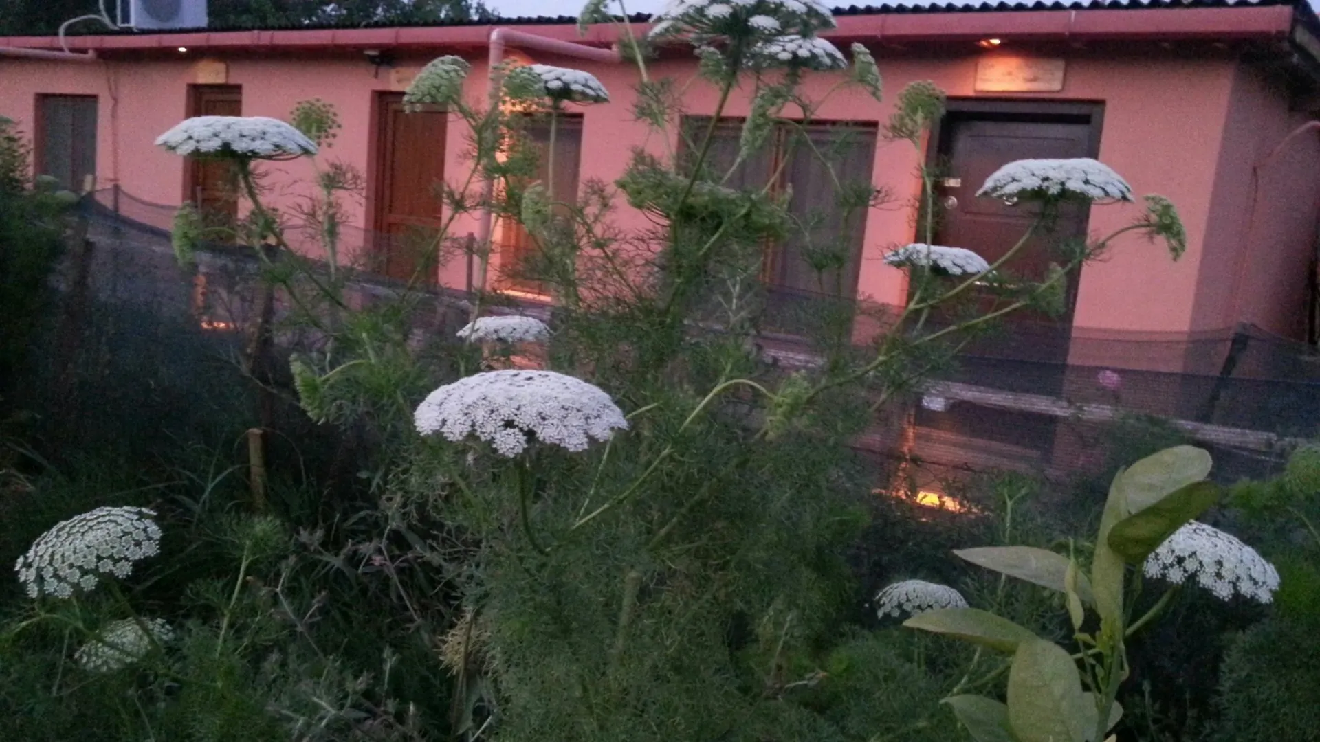 Sun Dalyan & Yeni Adet Organic Hotel