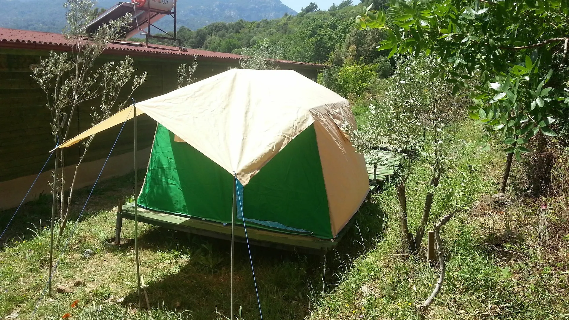 Sun Dalyan & Yeni Adet Organic Hotel