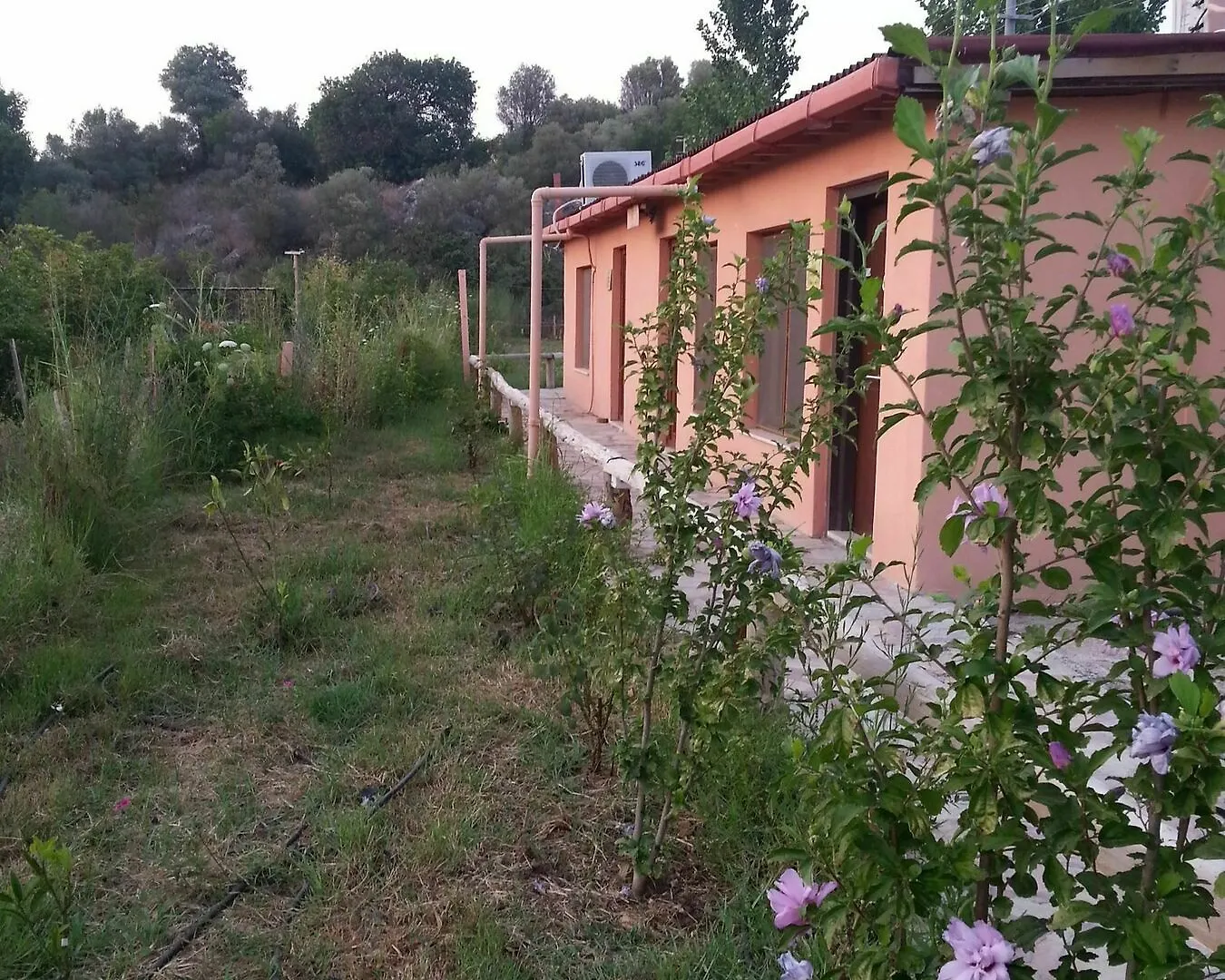 Sun Dalyan & Yeni Adet Organic Hotel