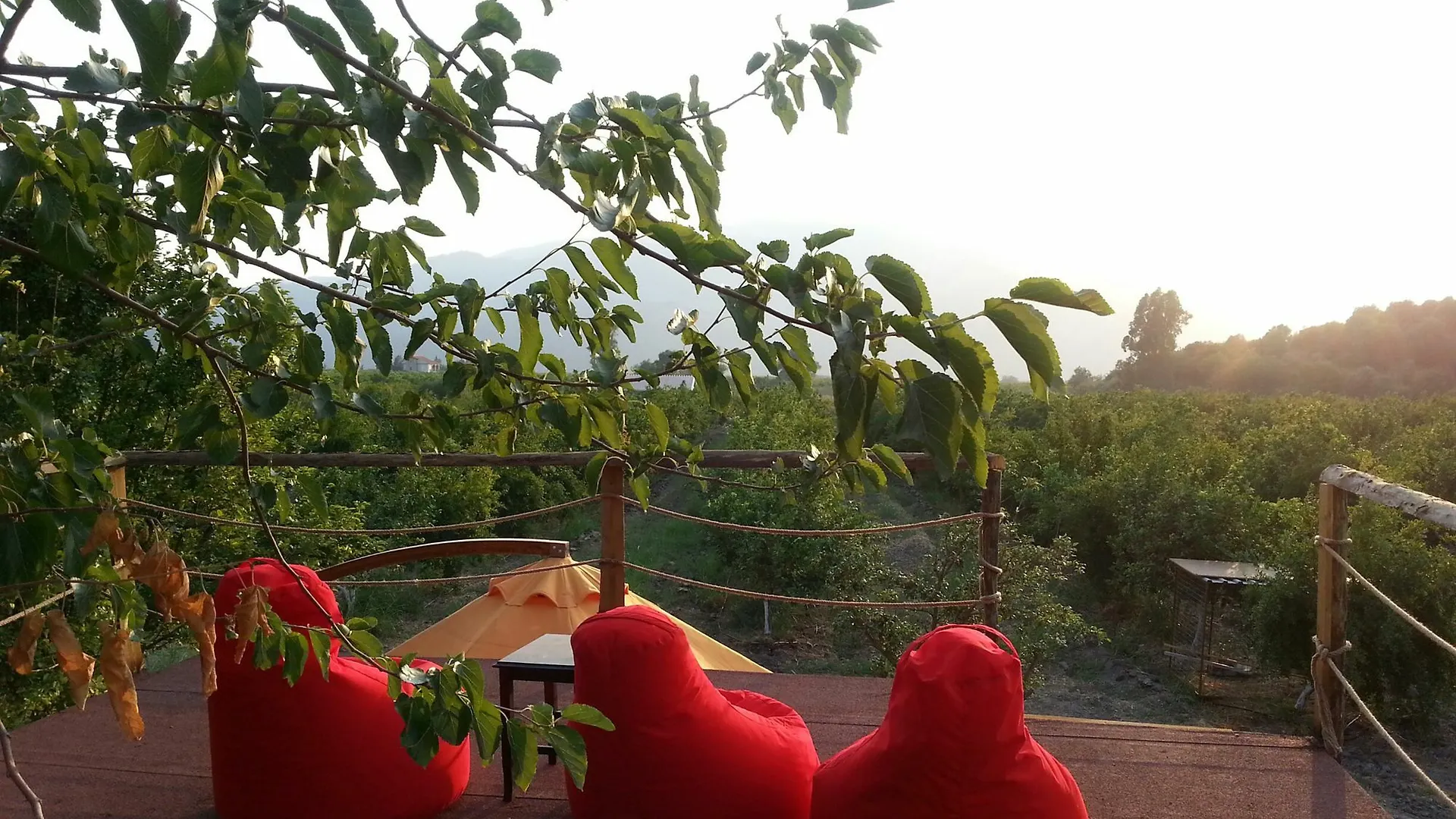 Sun Dalyan & Yeni Adet Organic Hotel 4*,