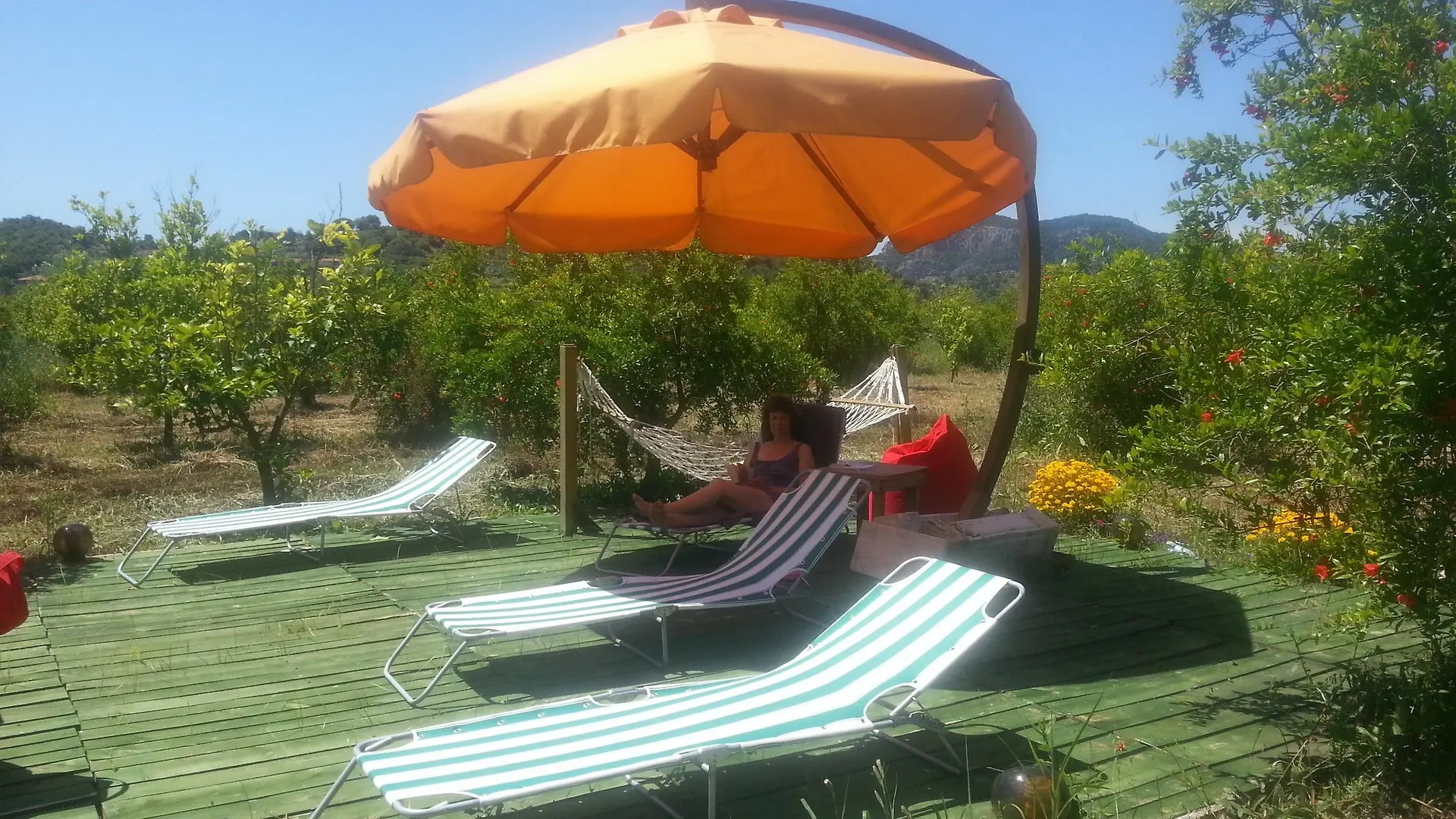 Sun Dalyan & Yeni Adet Organic Hotel